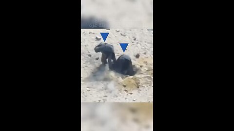 Gaza City. Terrorists eliminated. Digging for planting exposives.