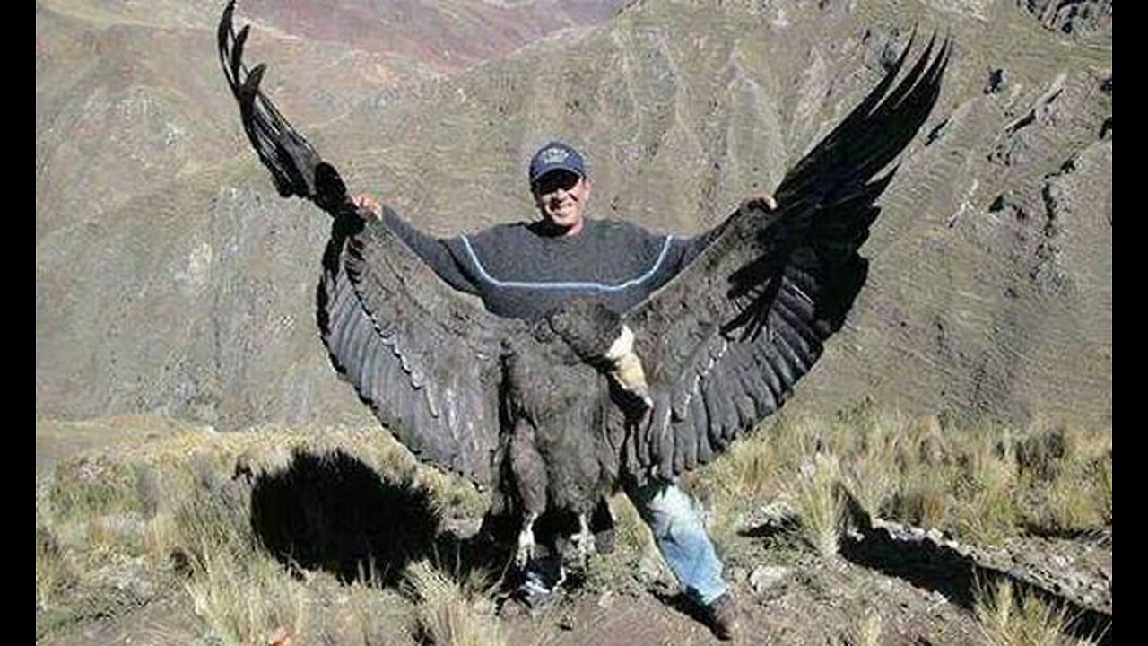 The Gaslighting Continues