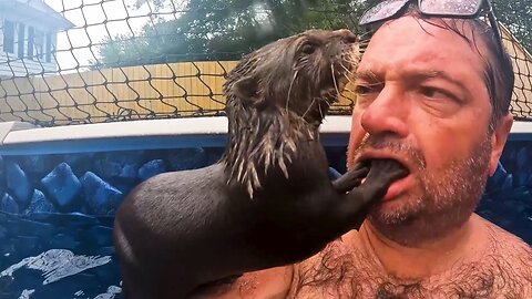 FUNNIEST Wild Animal Moments Caught on Camera 🤣