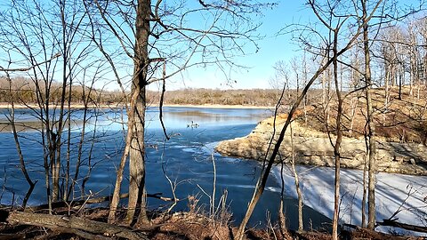 Life During Wartime & Only the Strong Survive