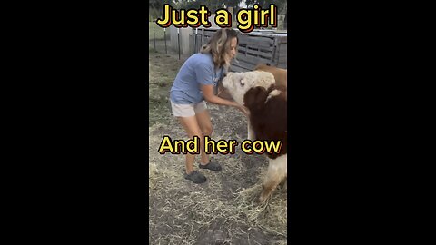 Meet some of the cows from our farm.
