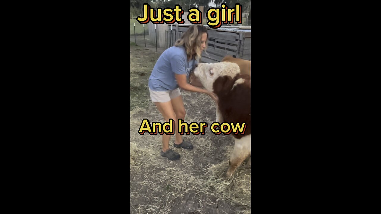 Meet some of the cows from our farm.