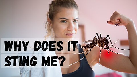 Why do mosquitoes bite us? Find out in the video🦟
