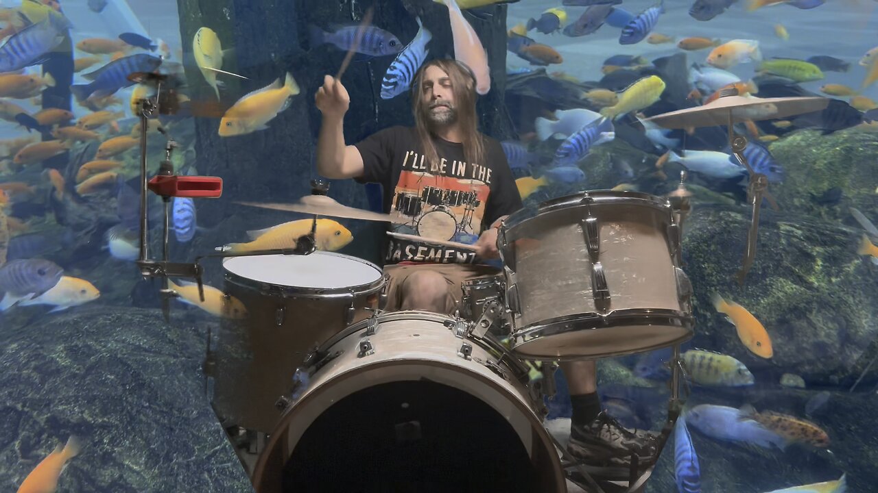 Whenever, Wherever from Shakira (drum cover)