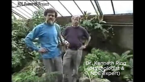 Terence McKenna and Kenneth Ring - NDEs vs Alien Abductions