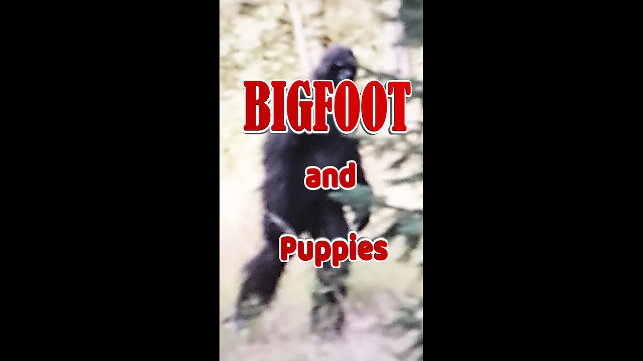 BIGFOOT and Puppies