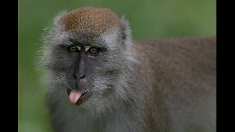 again, more Phoenix Arizona airplane traffic time lapses - Sep 18 thru Sep 25 2025 - no audio -