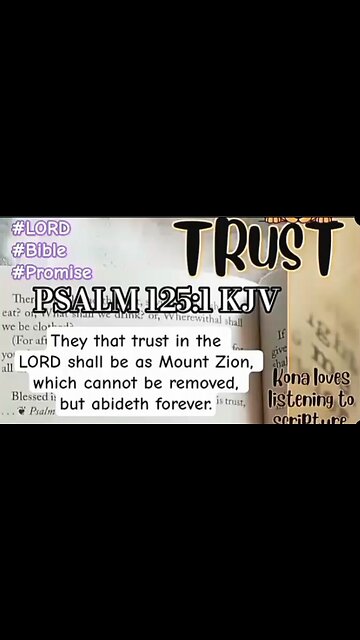 Psalm 125:1 They that trust in the LORD shall be as Mount Zion #faith #trust #lord #god #bible #kj
