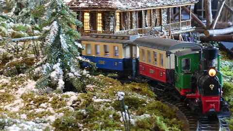 Holiday Train Show (NYBG)