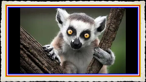 THE MOST MINCREDIBLE MOLICULE EVER INVENTED