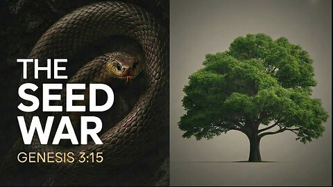 The war between two seeds: Who is Israel?