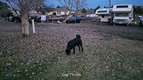 Graham Family Farm: 4:45 PM December 28th 2024