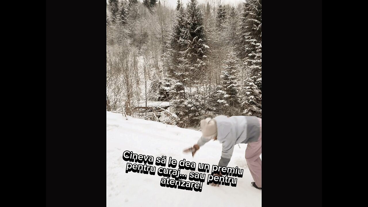 Cineva sa le dea un premiu pentru aterizare 🤣
