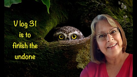 Vlog #31