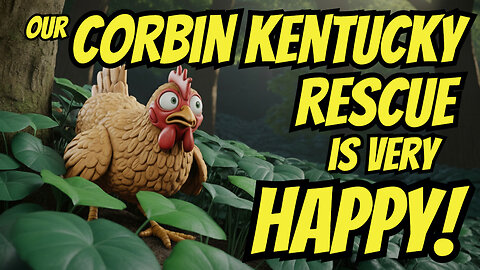 Another Chicken Rescue And Assimilation SUCCESS!