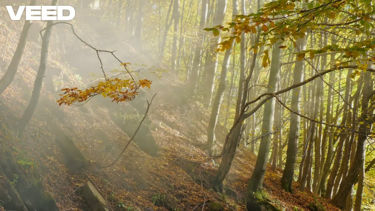 beauty of nature