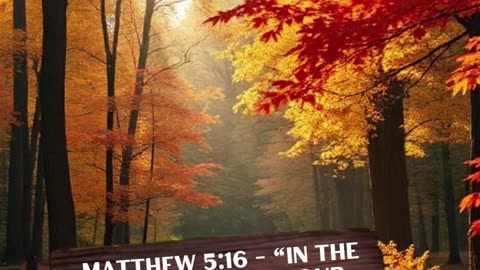Let Your Light Shine: Living Out Faith Through Good Deeds