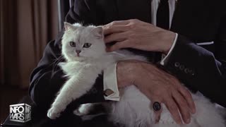 ALEX JONES - INFOWARS LIVE - ALEXJONES.NETWORK - THERE'S A WAR ON FOR YOUR MIND! ➡ THE ALEX JONES SHOW • THE AMERICAN JOURNAL WITH BREANNA MORELLO • WAR ROOM WITH HARRISON SMITH