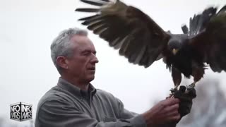 ALEX JONES - INFOWARS LIVE - ALEXJONES.NETWORK - THERE'S A WAR ON FOR YOUR MIND! ➡ THE ALEX JONES SHOW • THE AMERICAN JOURNAL WITH BREANNA MORELLO • WAR ROOM WITH HARRISON SMITH