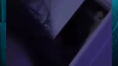 😨⚠️ This Is Very Scary! Unexplained Activity | TheHauntingHour