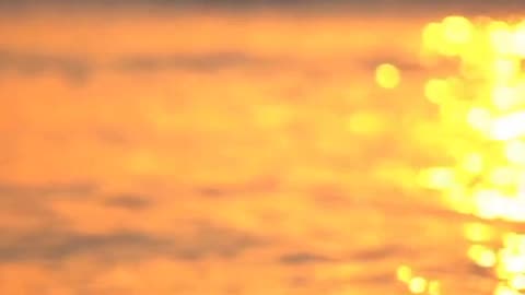 "Sunset Paradise: A Golden Hour Adventure"