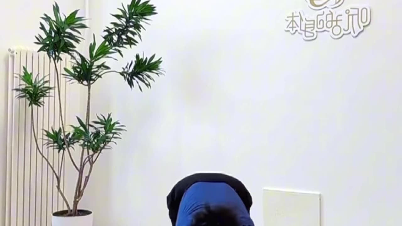 0057.拉伸十法動作組合