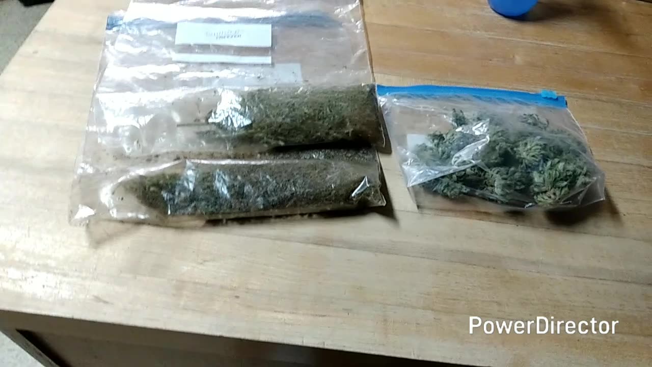 I got some free weed. And... What I'm about