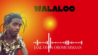 Qophii Walaloo ONM-ABO Onkoloolessa 13-2025 itti dhiyaadhaa!