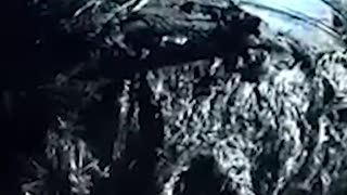 Significant piece, what is believed to be space junk has landed in an isolated area of Australia