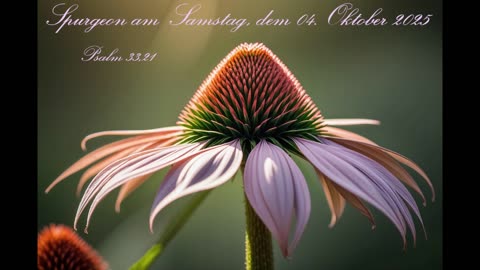 Spurgeon am Samstag, dem 04. Oktober 2025, zu Psalm 33,21