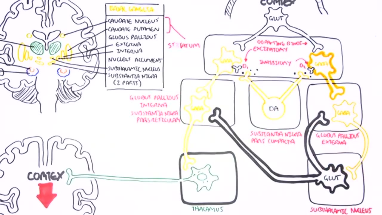 Parkinson's Disease (Shaking Palsy) - Clinical Presentation and Pathophysiology