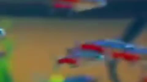 FUNNY & CUTE ANIMALS