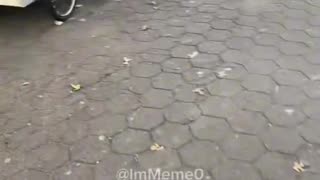 Illegal food vendors are grilling food on shopping carts in NYC.