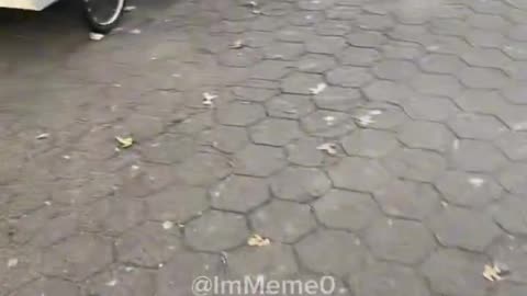 Illegal food vendors are grilling food on shopping carts in NYC.