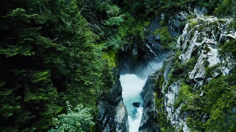 "Hard work beats talent when talent doesn’t work hard."