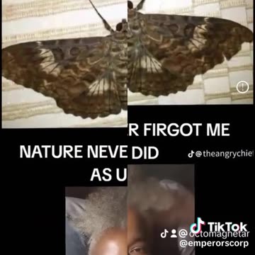 CURRENCY, PRODUCES CURRENT