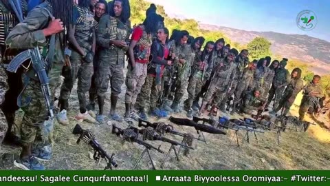 Gabaasa Tarkaanfii ONM-ABO Onkoloolessa 16-2025 itti dhiyaadhaa!