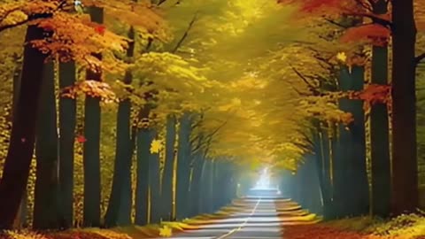 Magnificent views exciting journey