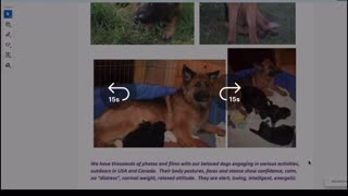 🇨🇦BC SPC - Canada is not FREE! 🐕
