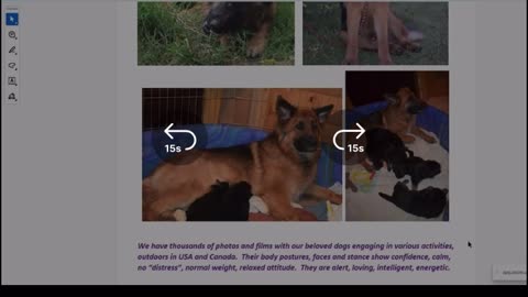 🇨🇦BC SPC - Canada is not FREE! 🐕