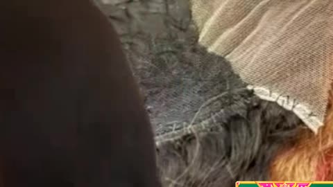 Jammy caught on recording talking to a customer crazy