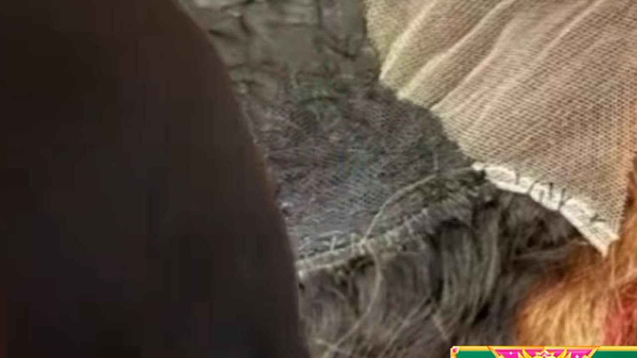 Jammy caught on recording talking to a customer crazy