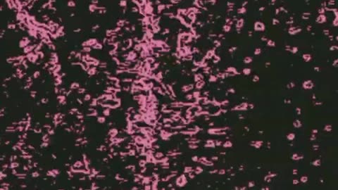 SinisteR - Distraught (Prod. Ryan Kelly)
