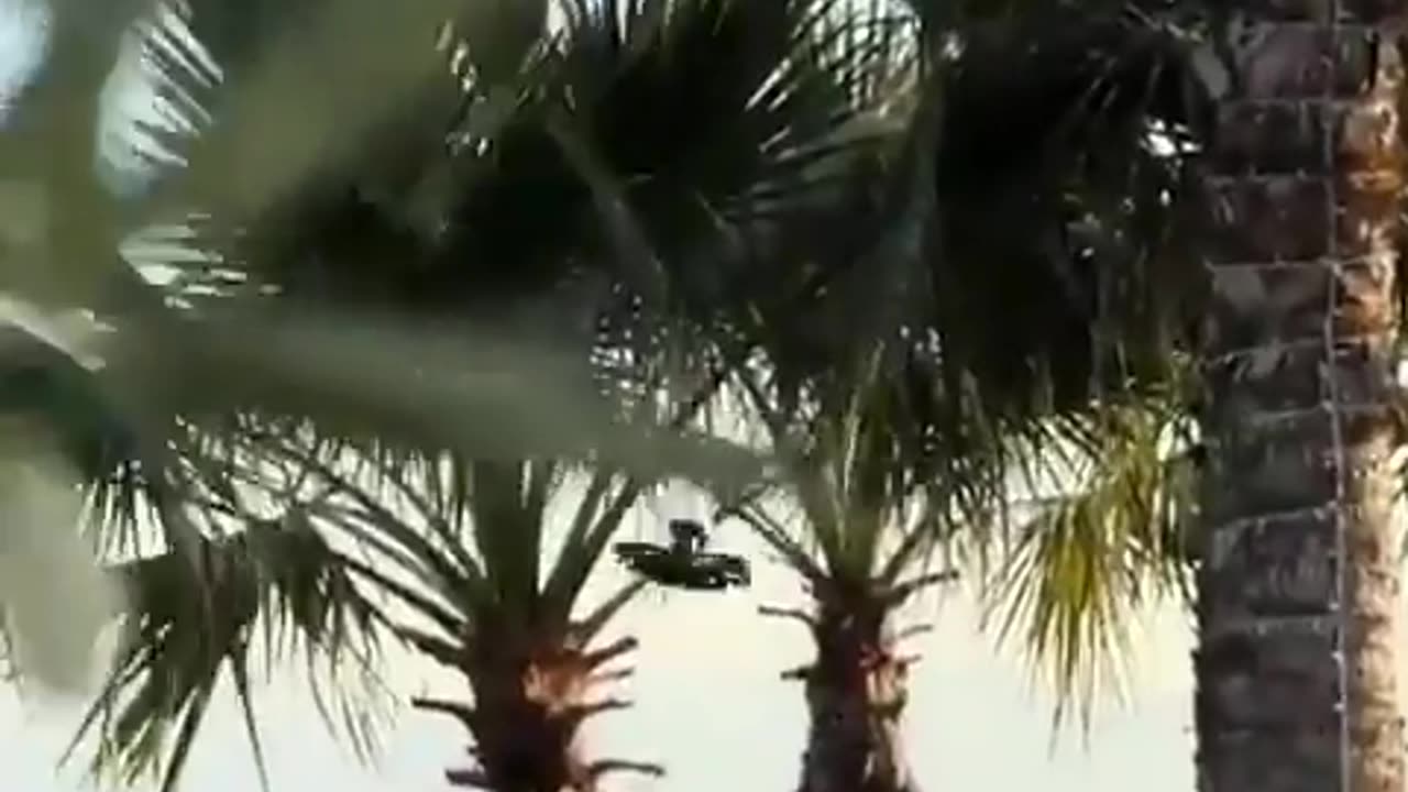 🤯✨ Watch a Kid Use a Drone to Deliver Drinks in the Ocean! | FeedMyCuriosity