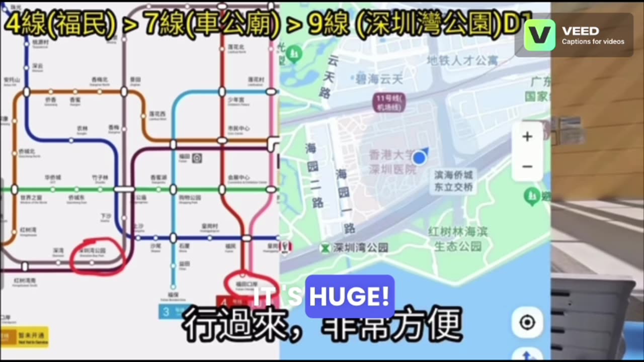 University of Hong Kong Shenzhen Hospital