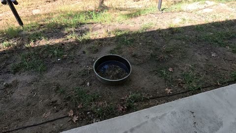 Video Title: Stop the Flame – AIERLERZHEE Fire Blanket!