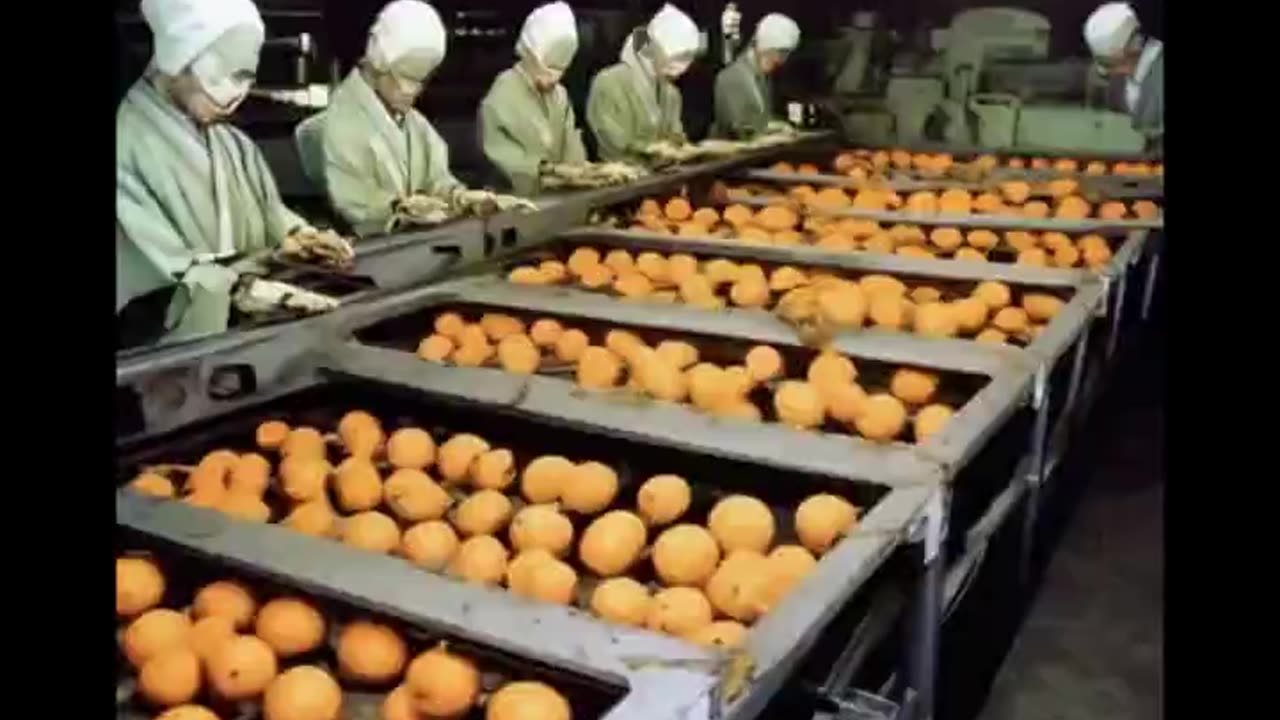 INFLUENCE DAPPER - BON REGGAE TON OREGTON