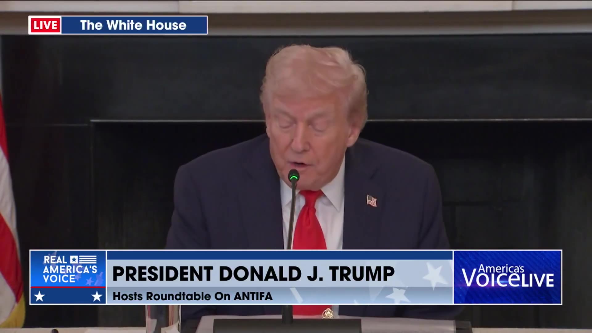 LEFT-WING TERROR THREATS