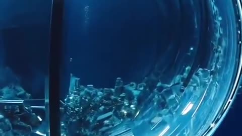 Are you ready to learn about the underwater bio-dome cities?🏙️🌊
