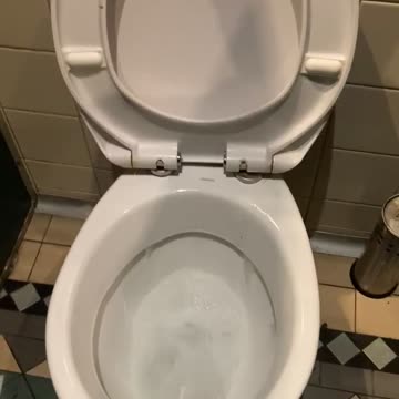 The longest flush in World history. Legend has it, its been running since 1969 🤪😂